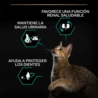 Sterilised - Kalkoen/Kip - Kattenvoer - 1.5 kg de Purina Pro Plan – photo produit 3 sur 6