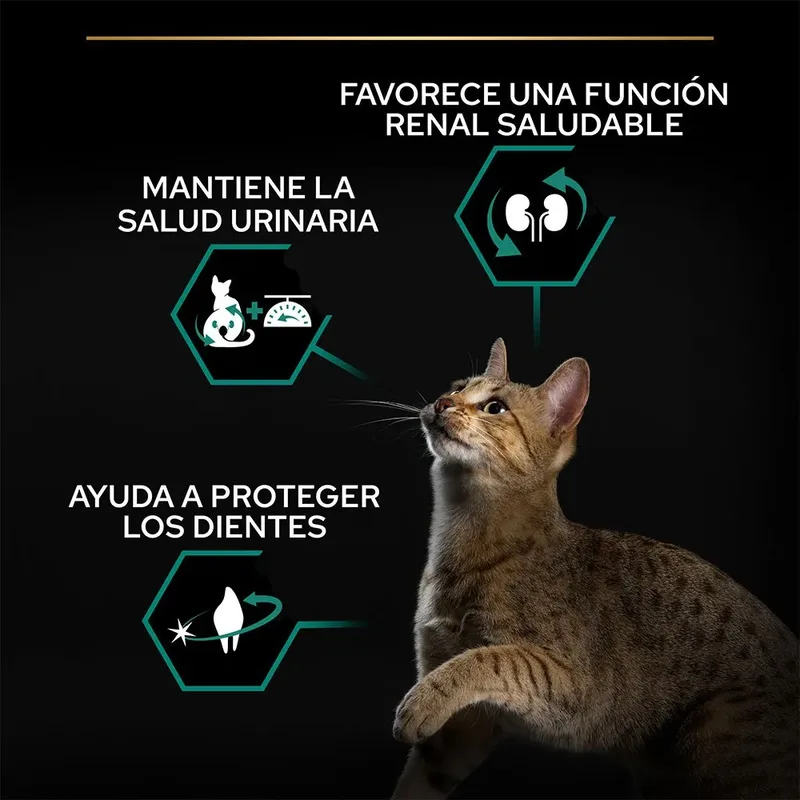 Sterilised - Kalkoen/Kip - Kattenvoer - 1.5 kg de Purina Pro Plan – photo produit 3 sur 6