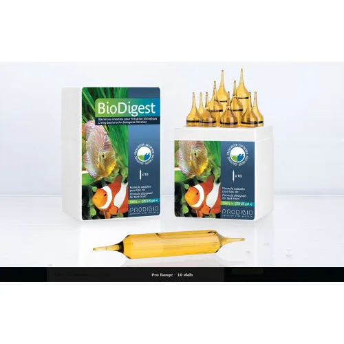 Bio Digest Pro 10 ampullen