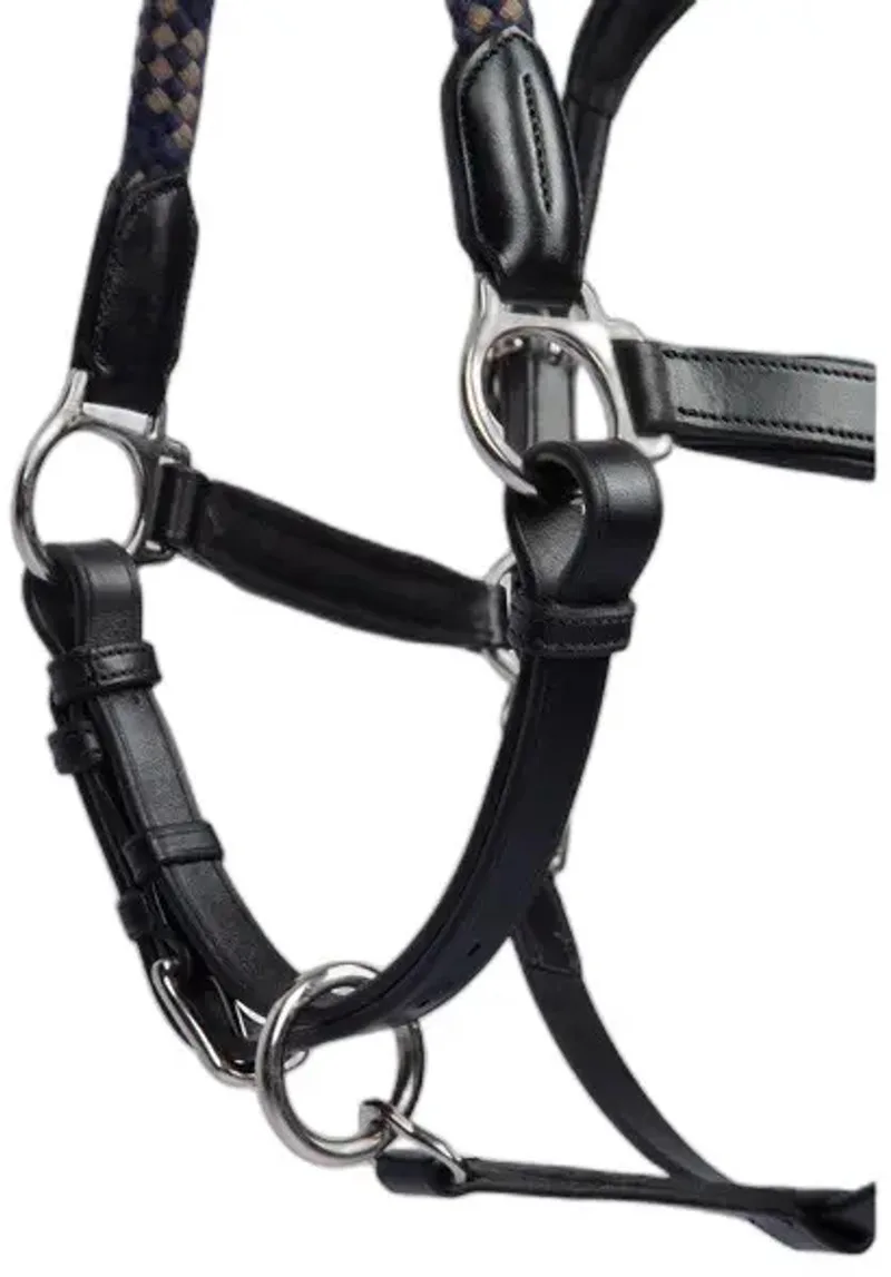 Leren halster voor paarden PS of Sweden Palermo by PS of Sweden in Zwart leder – product photo