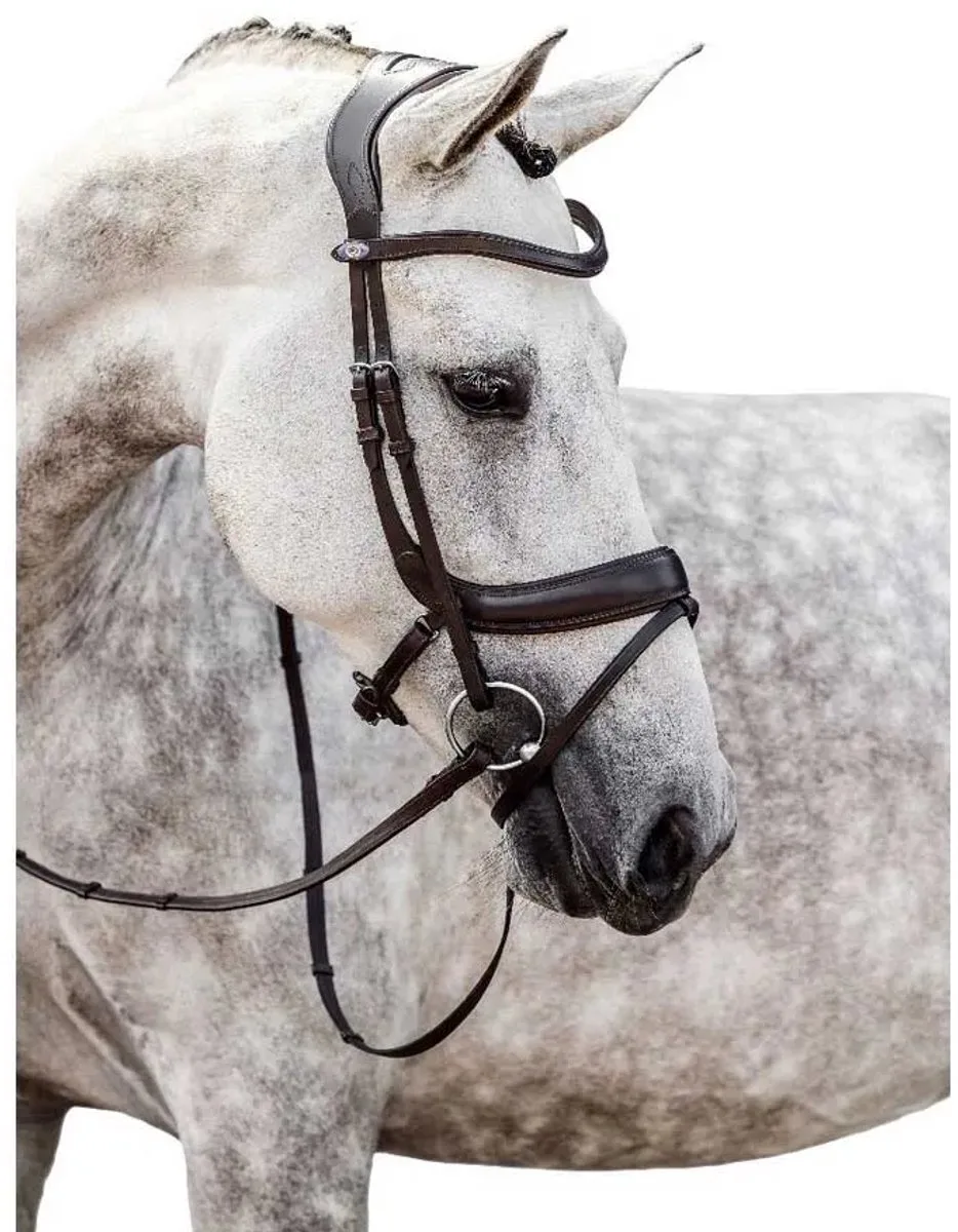 Paladin Hoofdstellen Zwart Cob by PS of Sweden in Black Leather – product photo