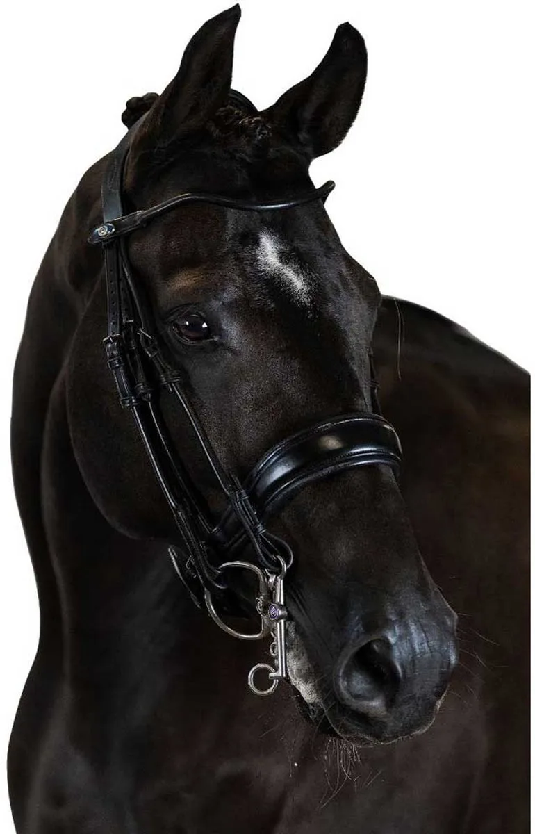 Passage Double Hoofdstellen Zwart Cob by PS of Sweden in Black Leather – product photo