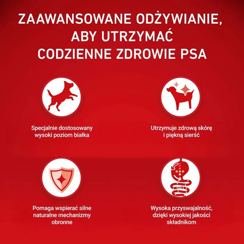 Adult Mini Small - hondenvoer - Rund - 1.5kg de Purina ONE – photo produit 2 sur 3