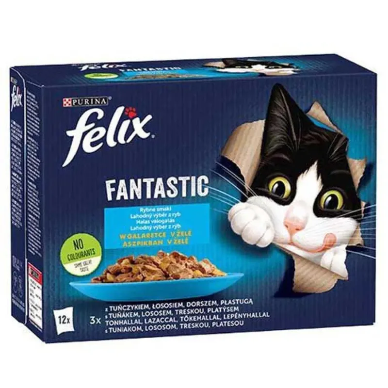 Fantastische Fischgeschmacksrichtungen In Gelee-nassfutter Für Katzen 85g 4 Einheiten von Purina – Produktfoto