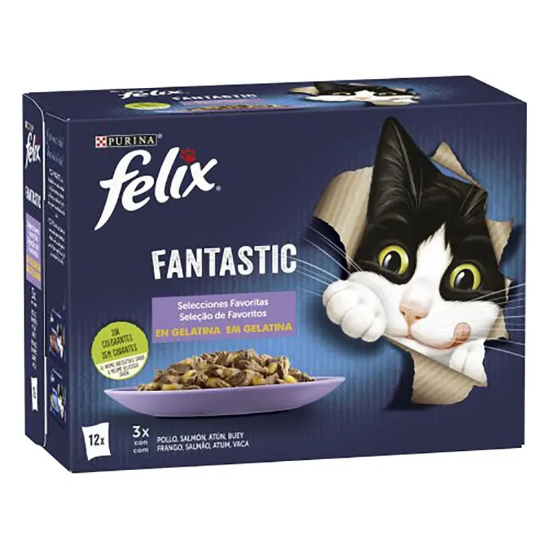 Felix Fantastic 12x85g Kattenvoer Zalm Met Tonijn En Rundvlees 6 Eenheden by Purina – product photo
