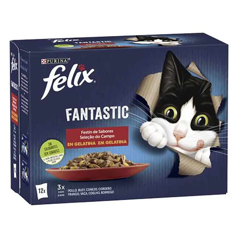 Felix Fantastic Flavors Feast Kattenvoer 12x85g 6 Eenheden von Purina – Produktfoto