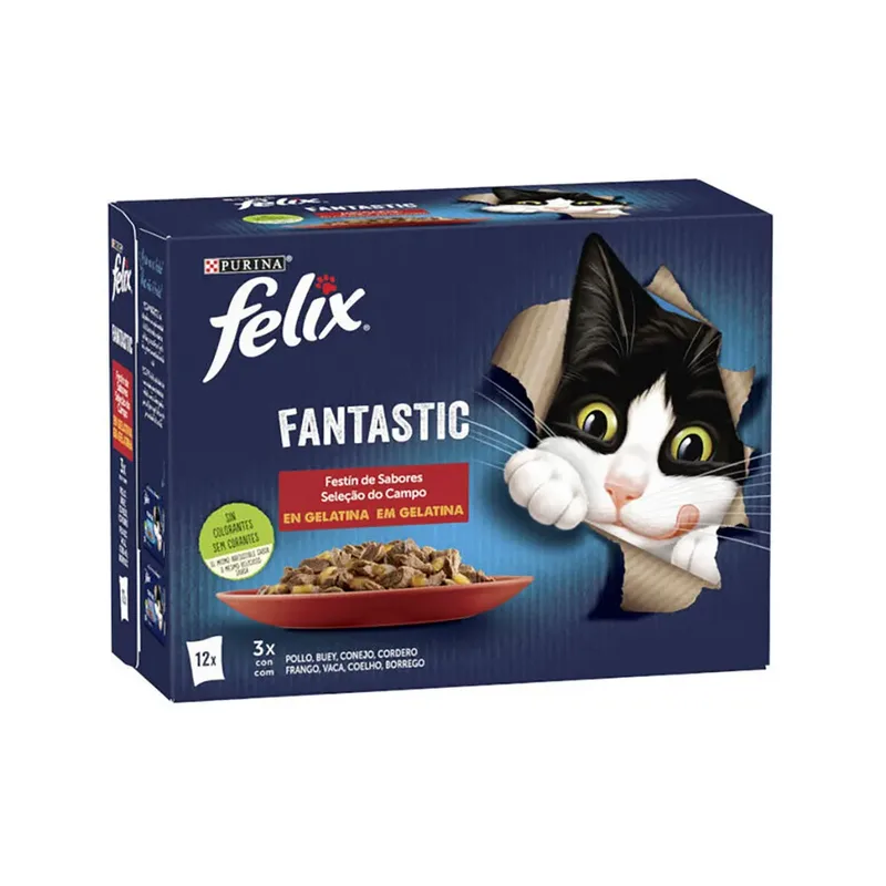 Felix Fantastische Vleessoorten Natvoer Voor Katten 4x24x85g by Purina – product photo