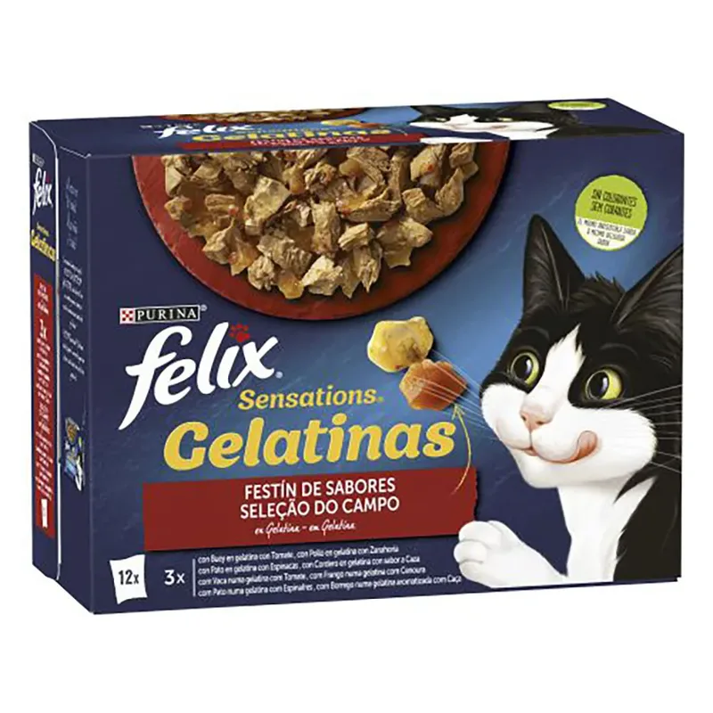 Felix Sensations Flavors Feast 12x85g Kattenvoer 6 Eenheden de Purina – photo produit