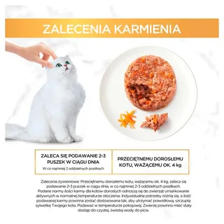 Gold Gourmet Herzhafter Kuchen 48x85g Nassfutter Für Katzen von Purina – Produktfoto 5 von 6