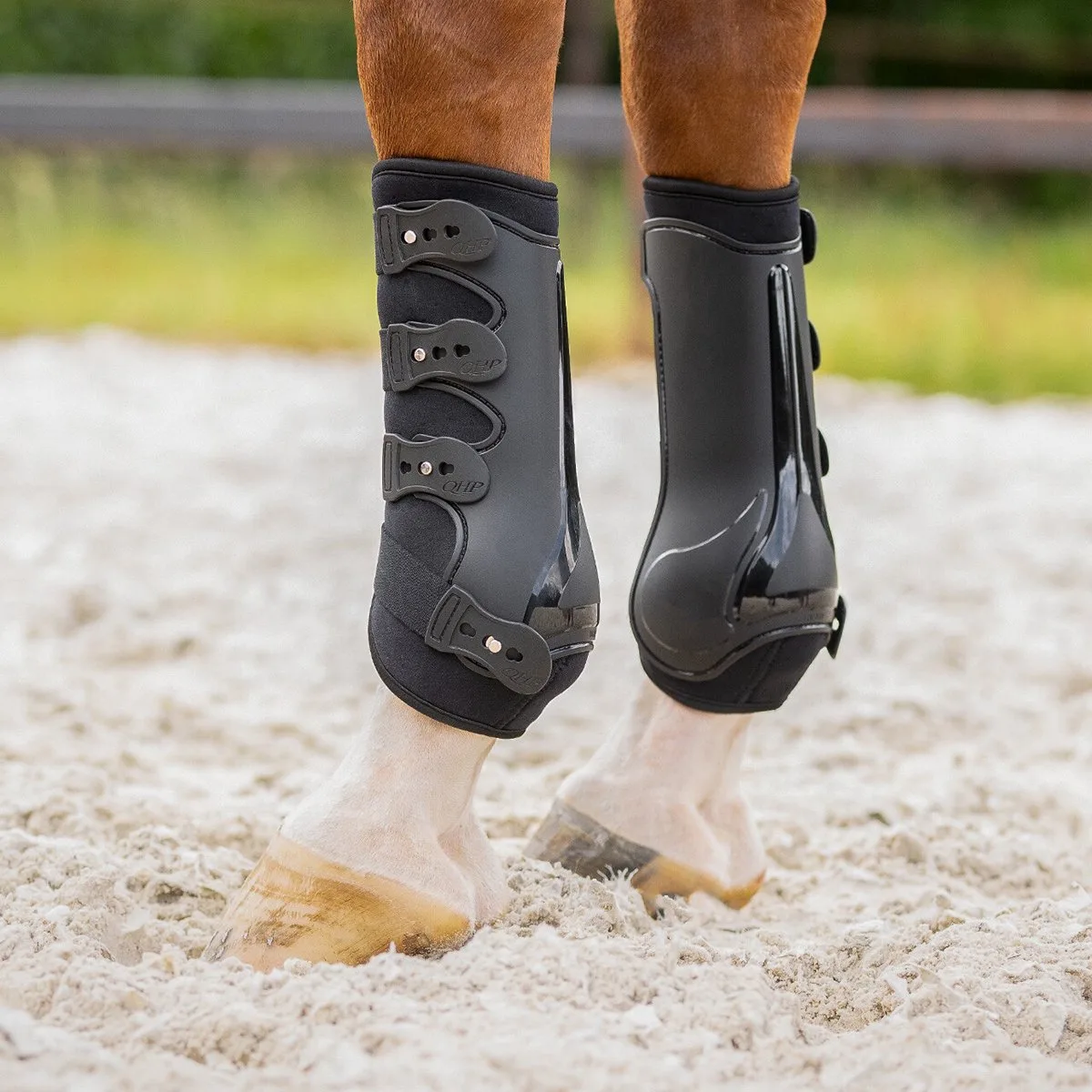 Beenbeschermers Qhp Champion Voor by QHP in Black – product photo