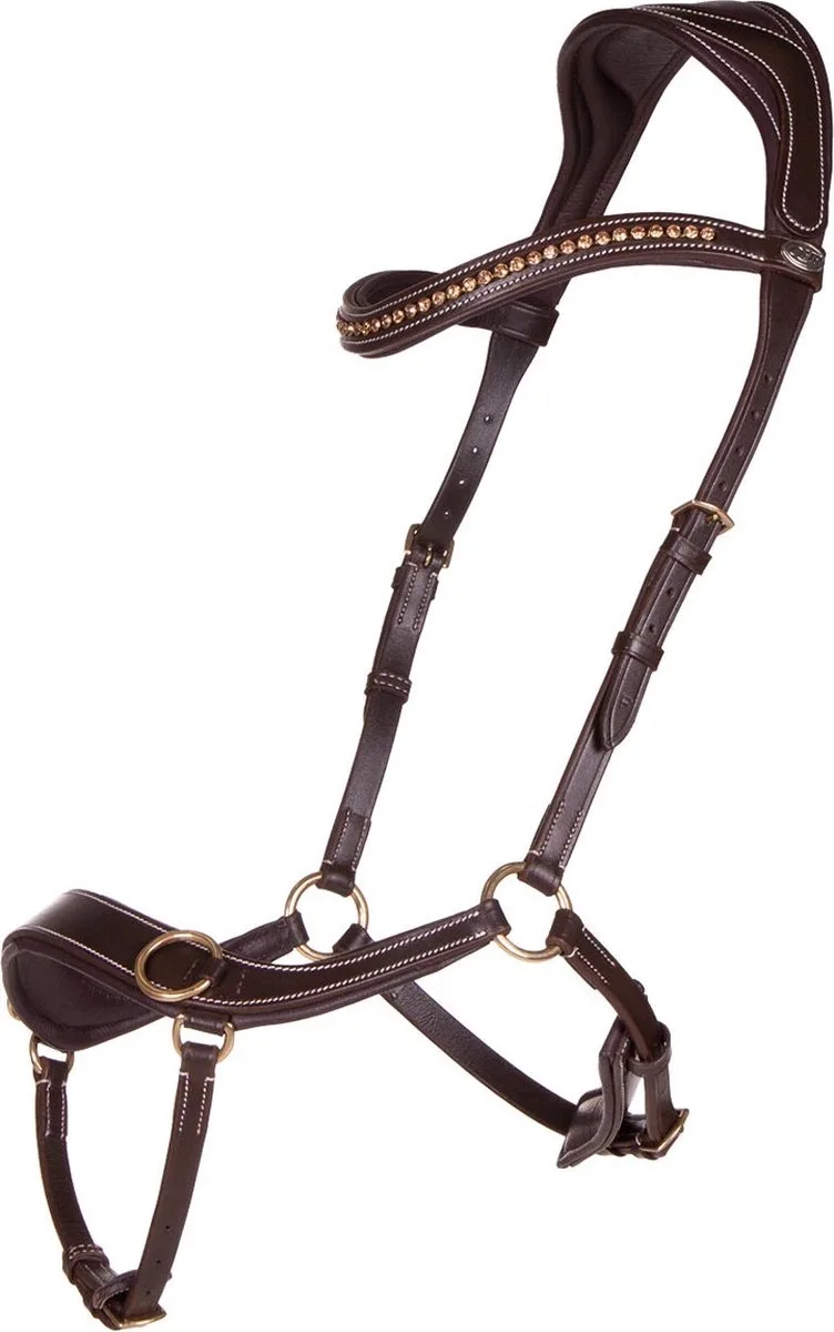 Bitloos Hoofdstel Qhp Anatomical de QHP en Marron – photo produit