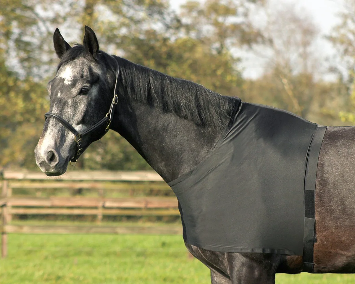 Borstbeschermer lycra S by QHP in Black – product photo