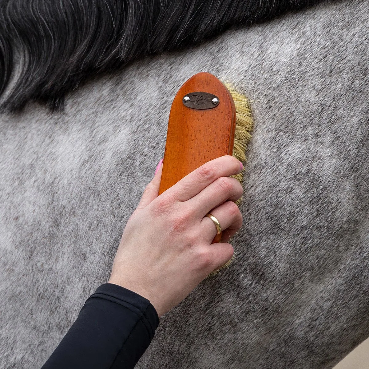 Borstelset Royal Donkerbruin - One size by QHP in Brown – product photo