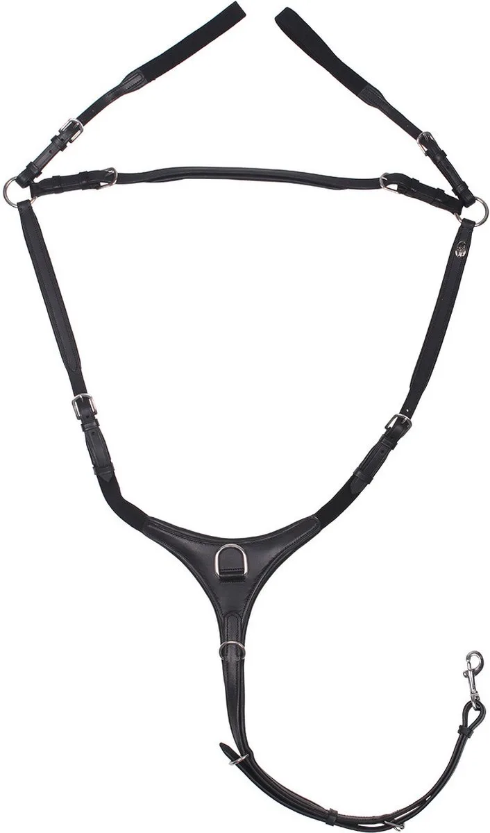 Borsttuig Luxury Zwart - Full | Zwart | Teugels paard by QHP in Black – product photo