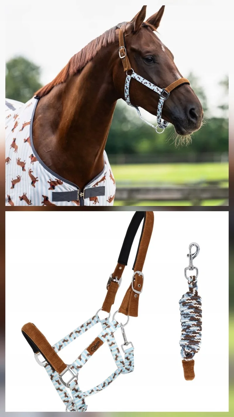 BUDDY Zacht Gevoerd Halster voor Pony's - Set met Riem de QHP en Lichtblauw-bruin – photo produit