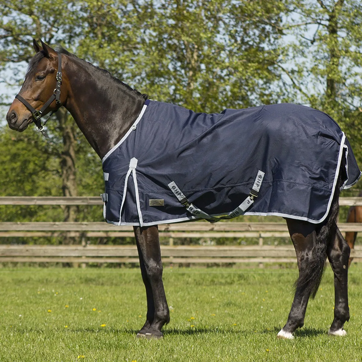 Deken Turnout Fleece 0gr Donkerblauw - 155/205 van QHP in Darkblue – productfoto