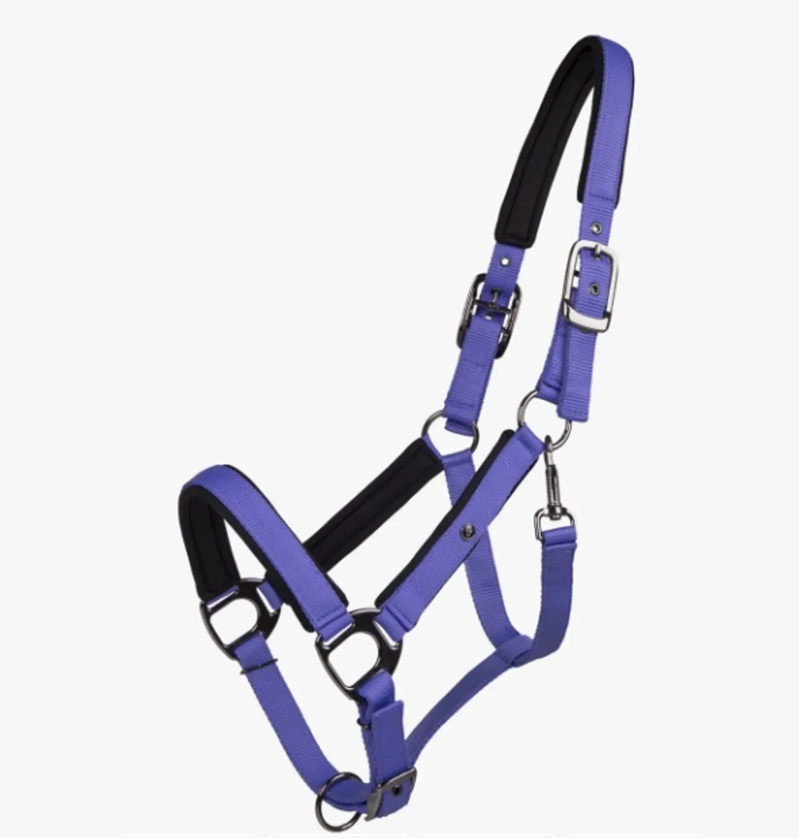 Deluxe Rijhalster Pony - Hoogwaardig en Verstelbaar by QHP in Purple – product photo