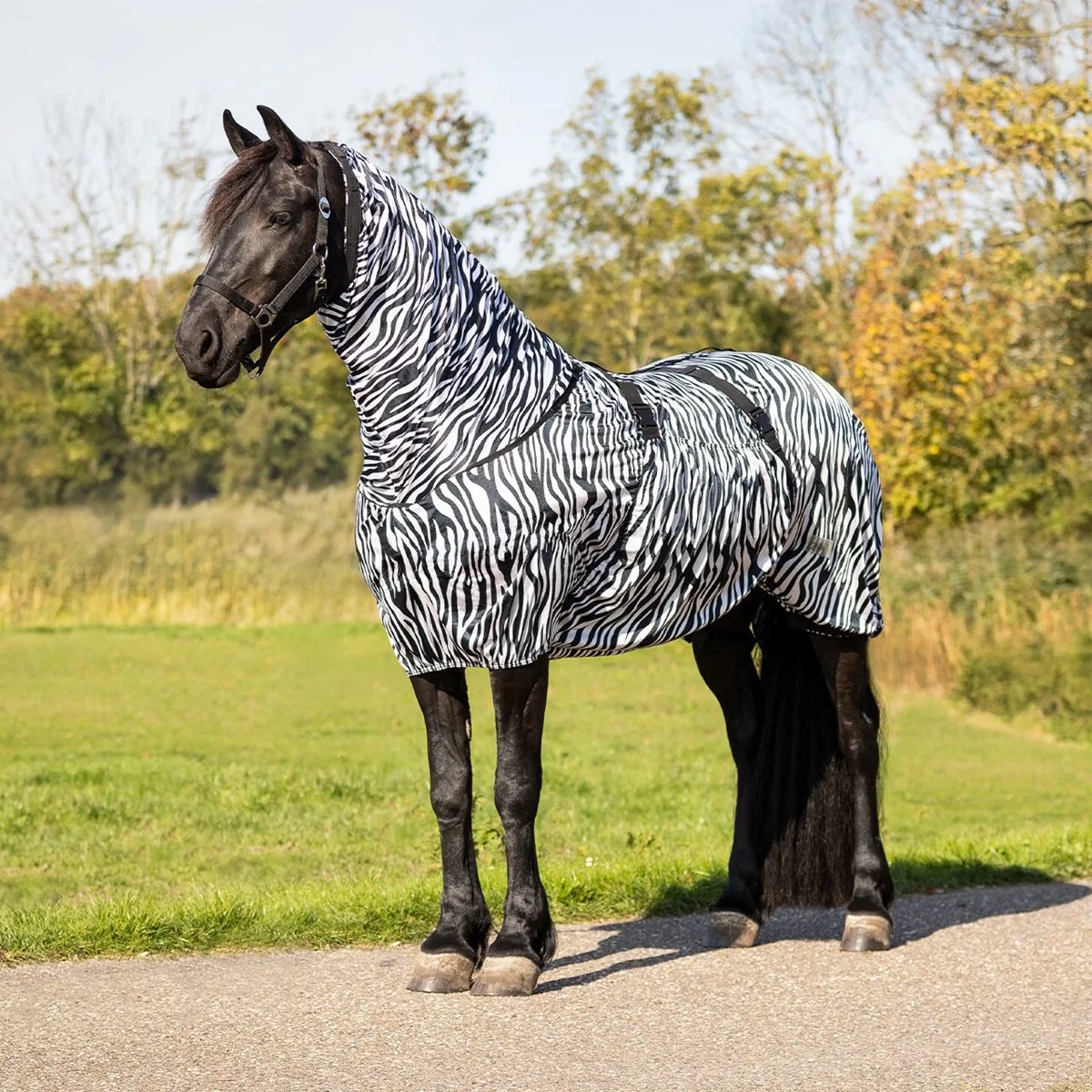ECZEEMDEKEN BIG NECK de QHP en Zebra – photo produit