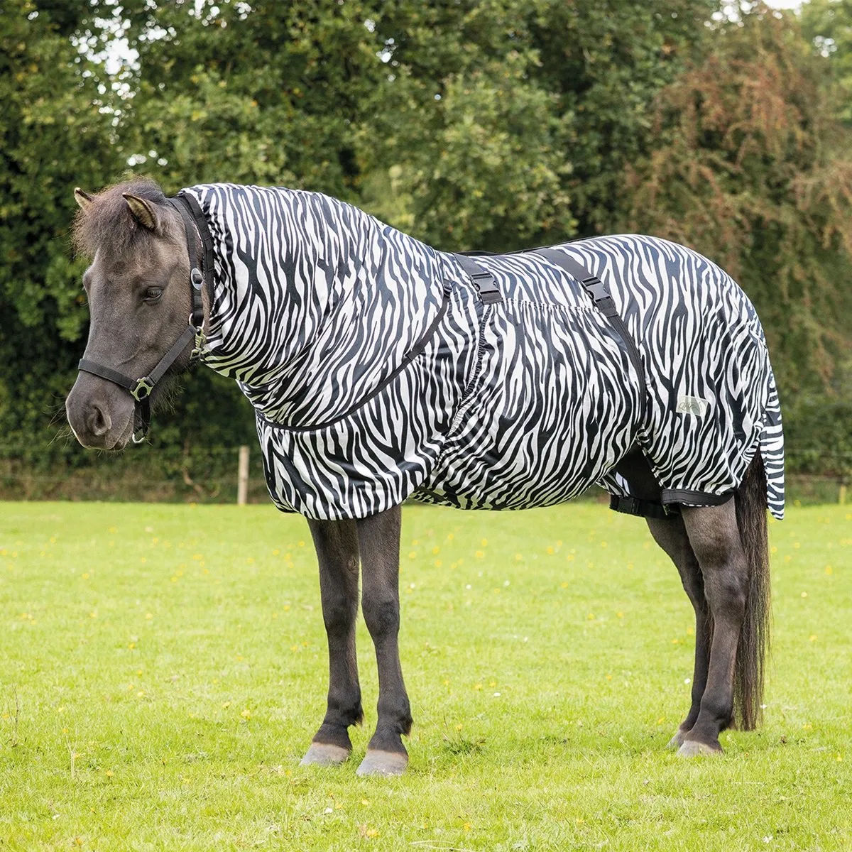 ECZEEMDEKEN ICELANDIC de QHP en Zebra – photo produit