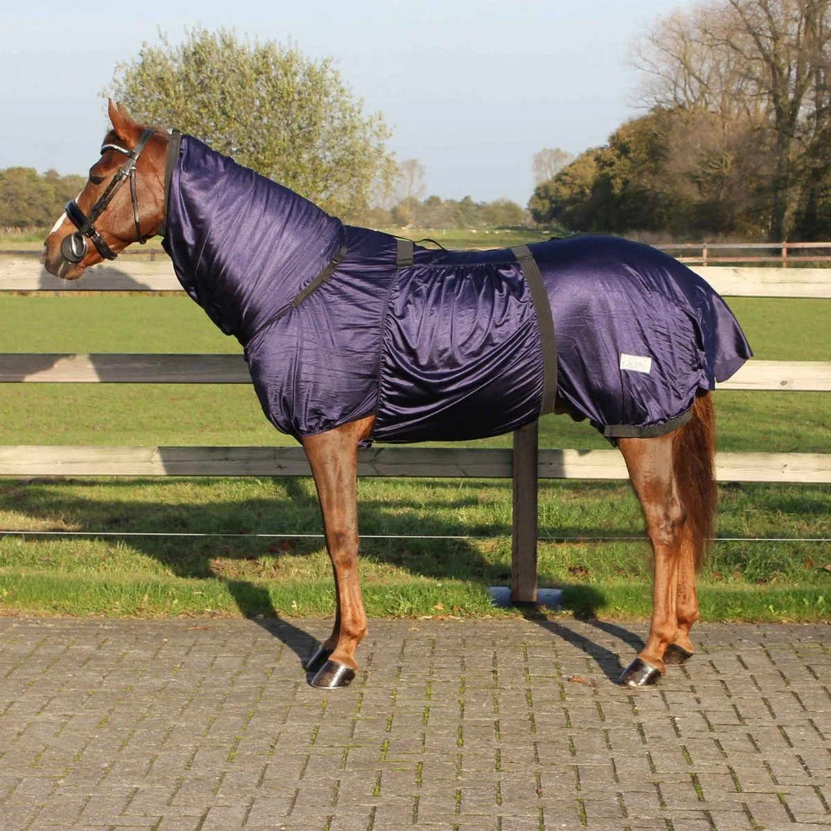 Eczeemdeken Navy 145 van QHP in Donkerblauw – productfoto