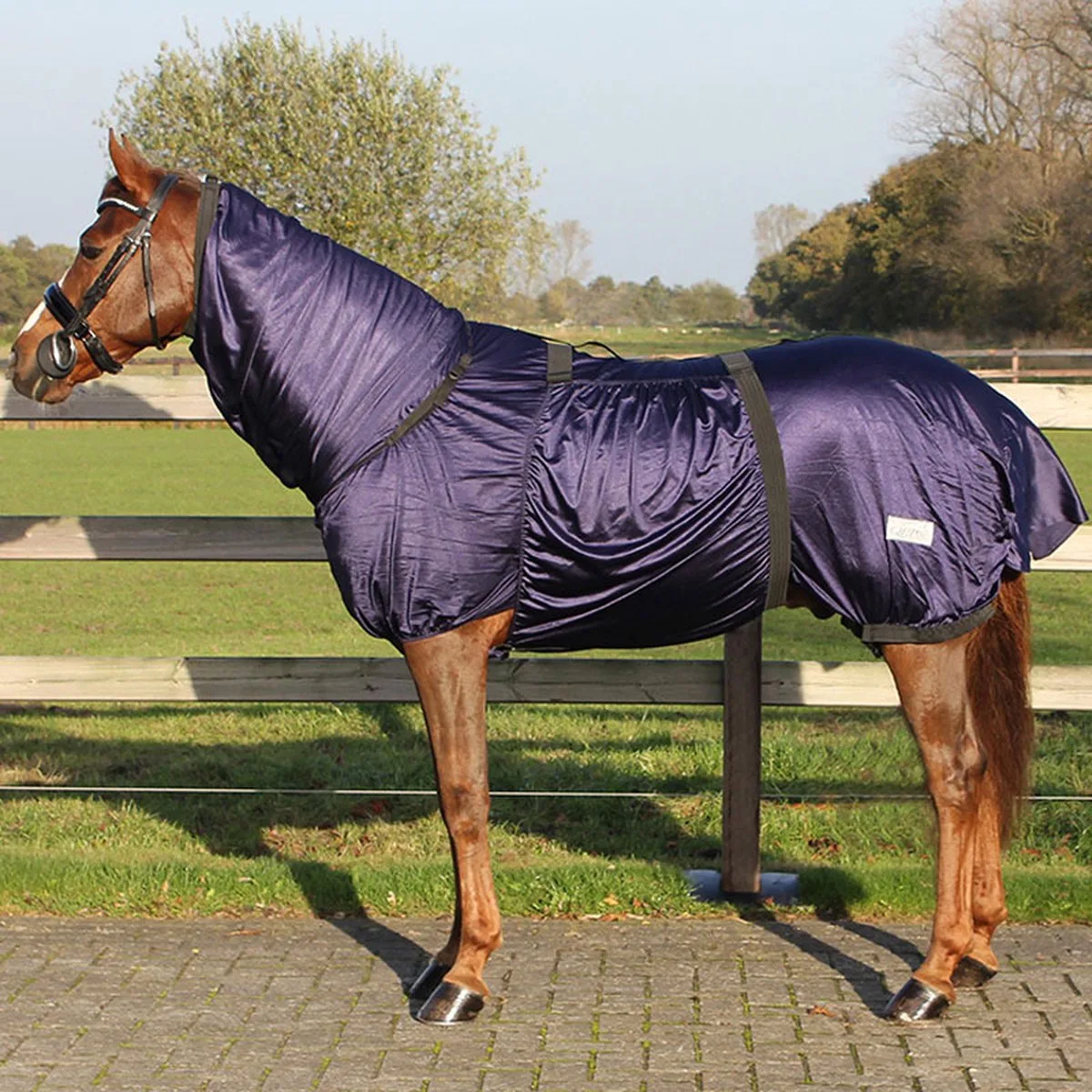 Eczeemdeken Navy 205 van QHP in Blauw – productfoto