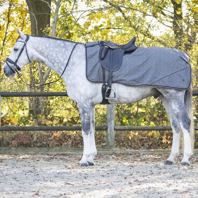 Fleecedeken voor paarden QHP Collection by QHP in Grey – product photo