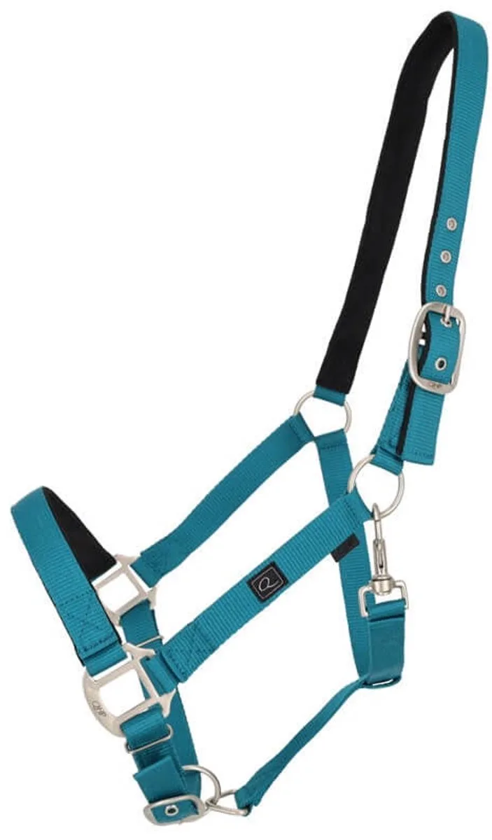 Gevoerd QHP Halster Teal - Cob by QHP in Blue – product photo