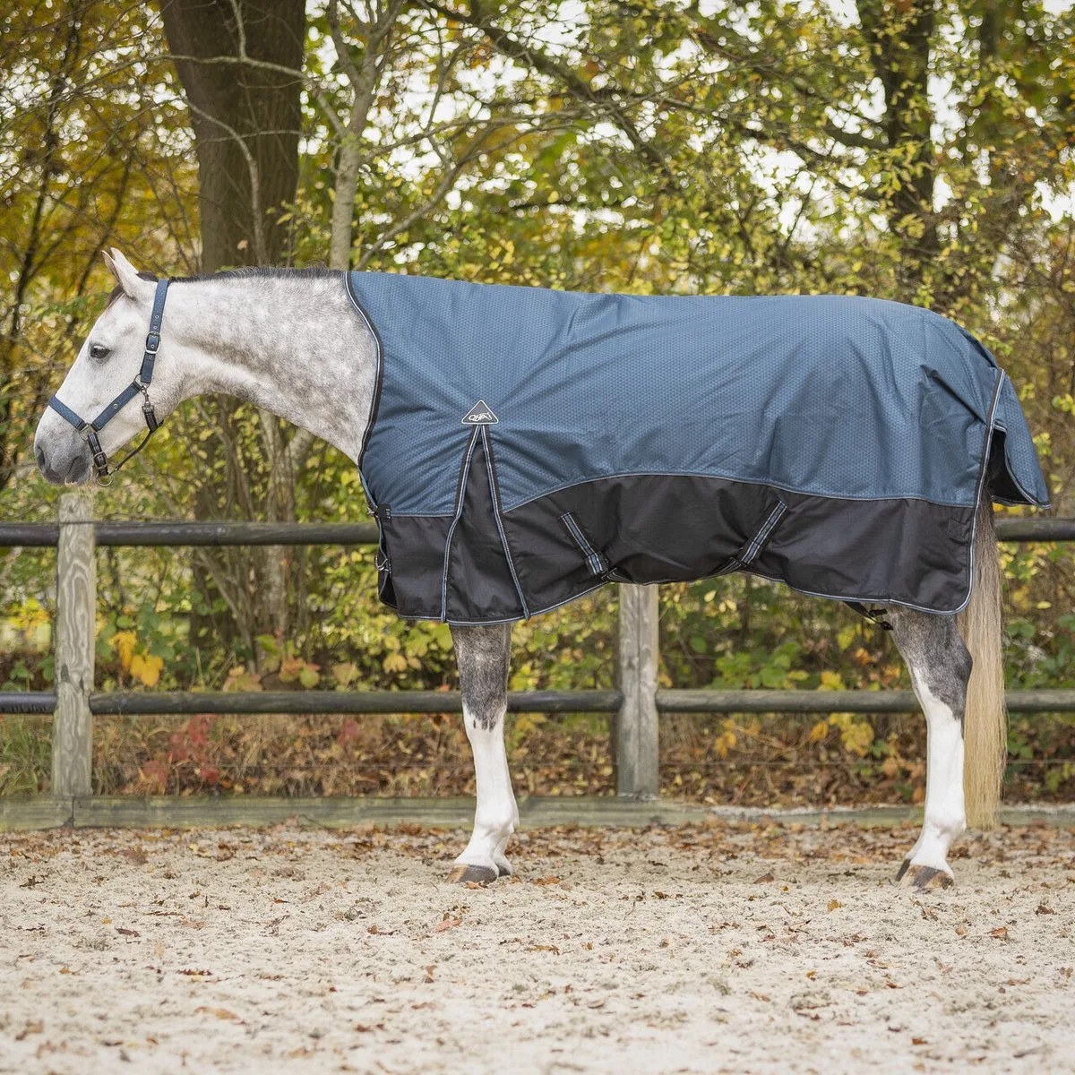Halfdeken voor paard QHP Collection 150g de QHP en Mystiek blauw – photo produit
