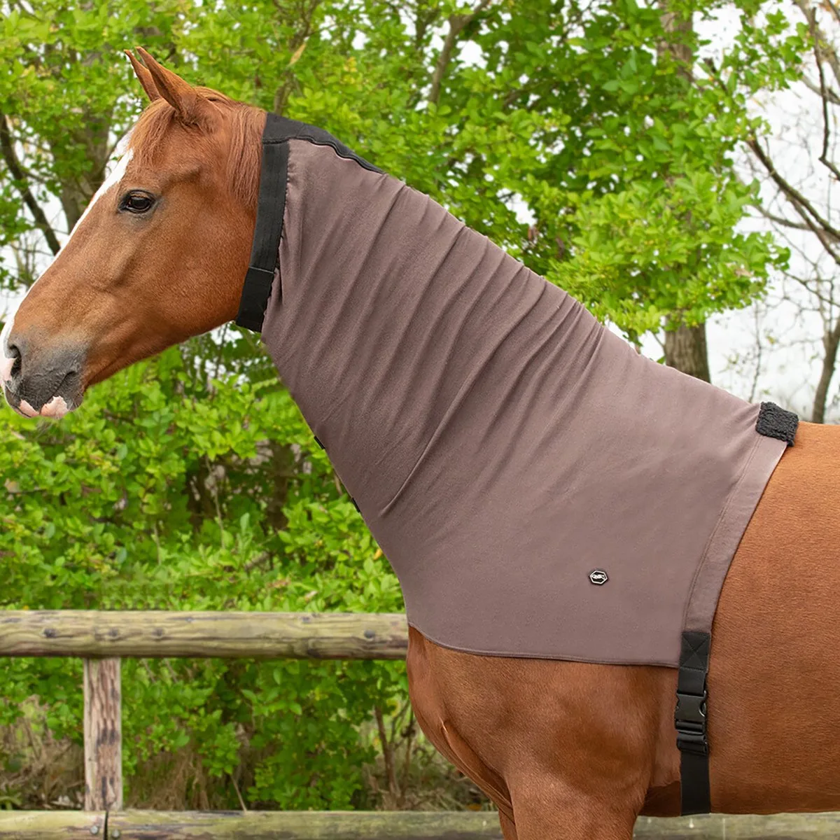 Halsstuk Qhp Eczeem - L de QHP en Marron – photo produit