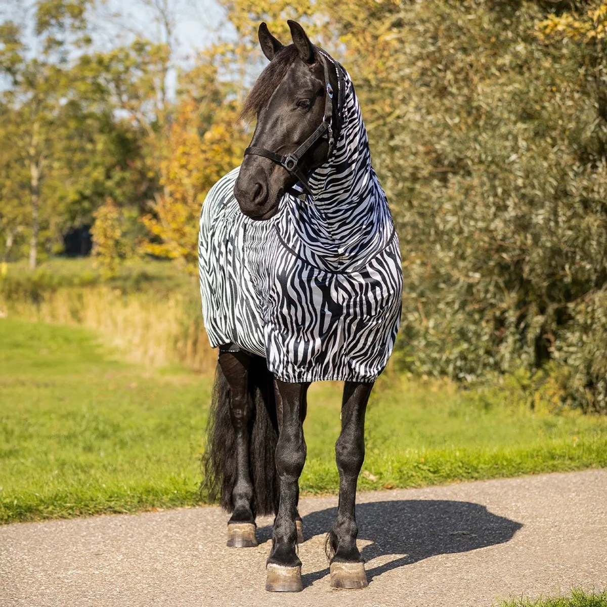 Halsstuk Qhp Eczeemdeken Big Neck Zebra Zebra - 185/235 by QHP in Zebra – product photo