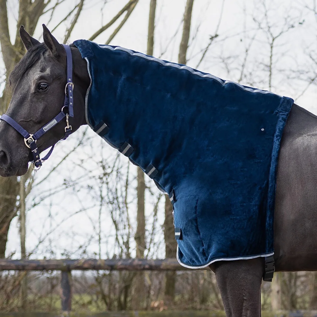 Halsstuk Qhp Fluff - L by QHP in Dark blue – product photo