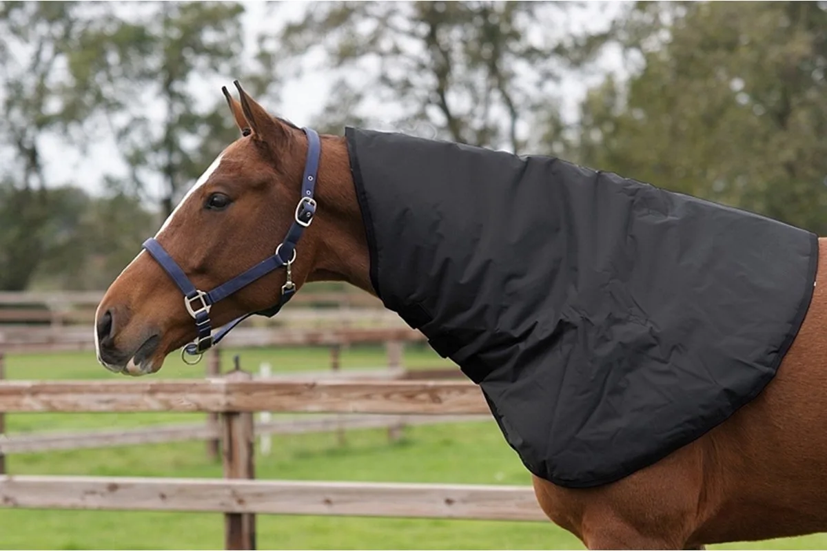 Halsstuk Qhp Turnout 200gr - S de QHP en Noir – photo produit
