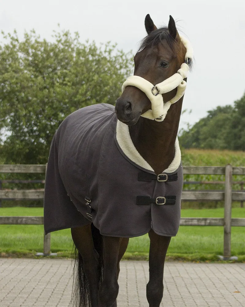 Halster Alaska - shetlander de QHP en Grijs-beige – photo produit