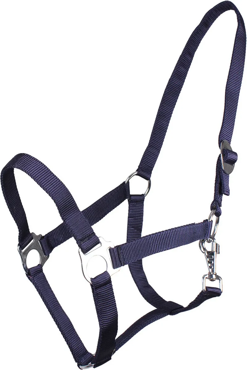 Halster Basic Extra full van QHP in Blauw – productfoto