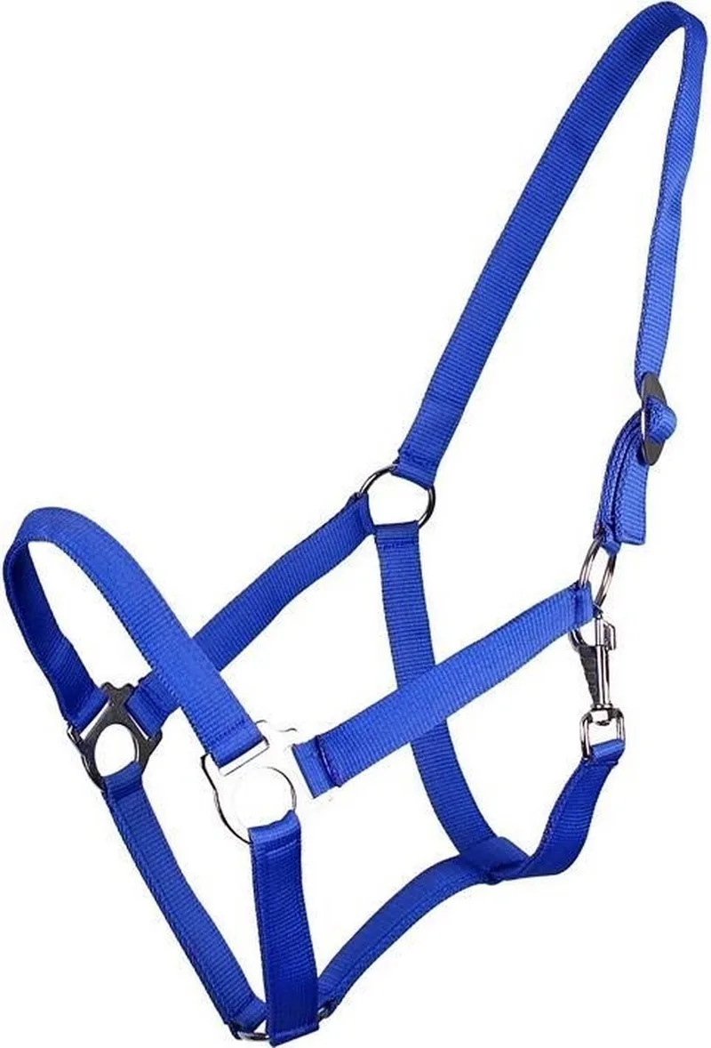 Halster Basic met schuif van QHP in Kobaltblauw – productfoto