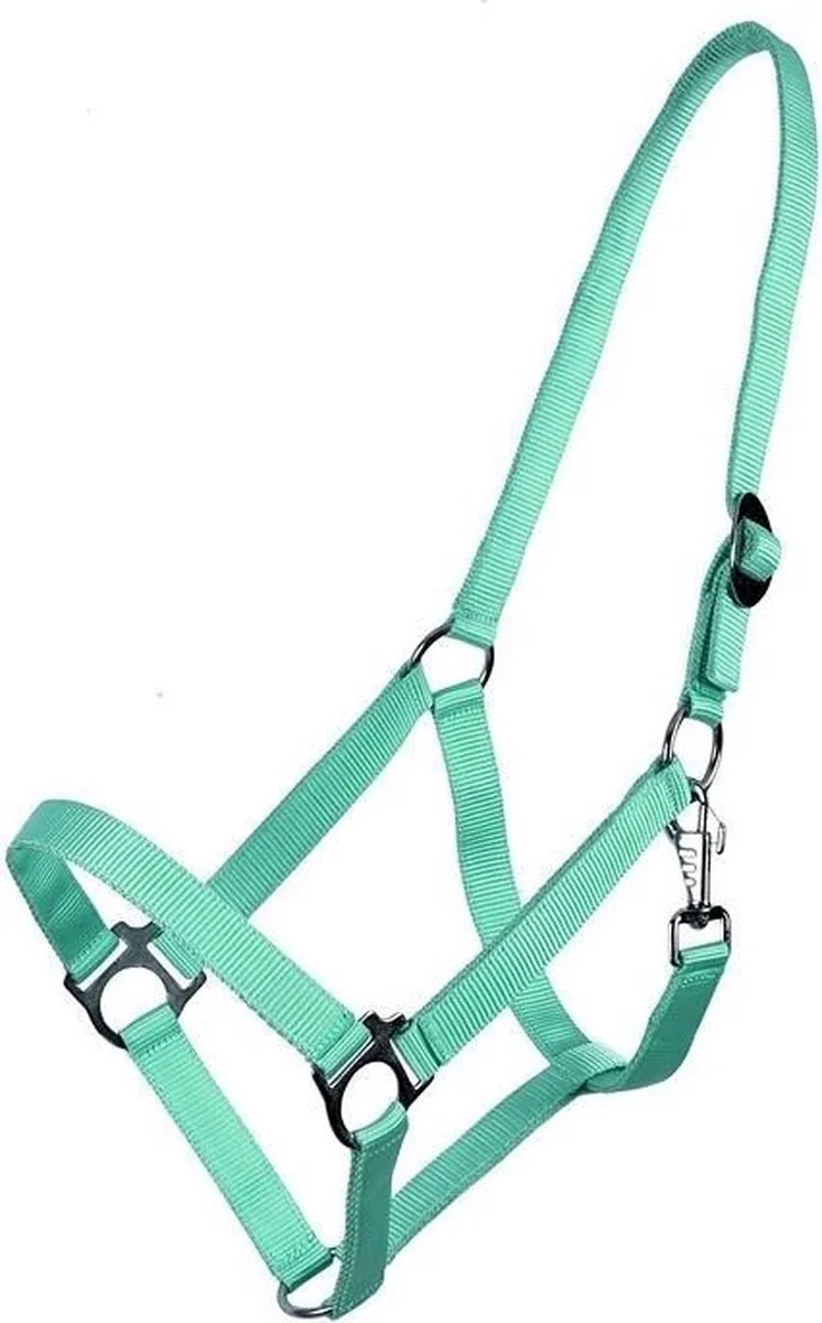 Halster Basic met schuif by QHP in Turquoise – product photo
