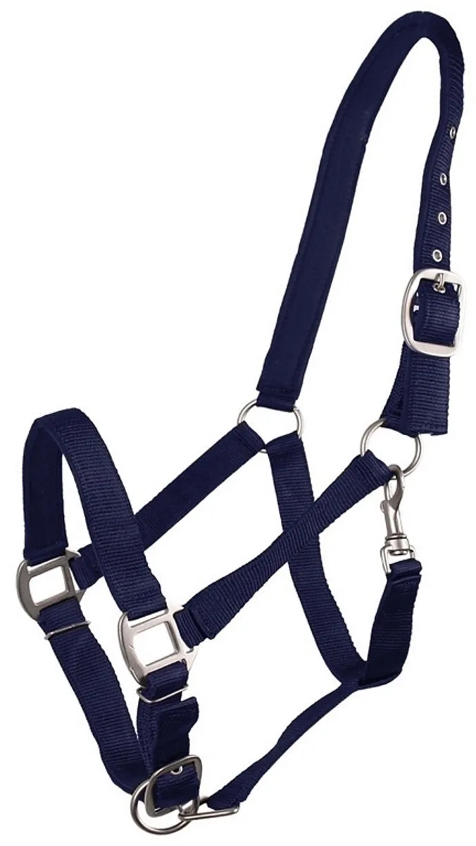 HALSTER GEVOERD de QHP en Bleu – photo produit