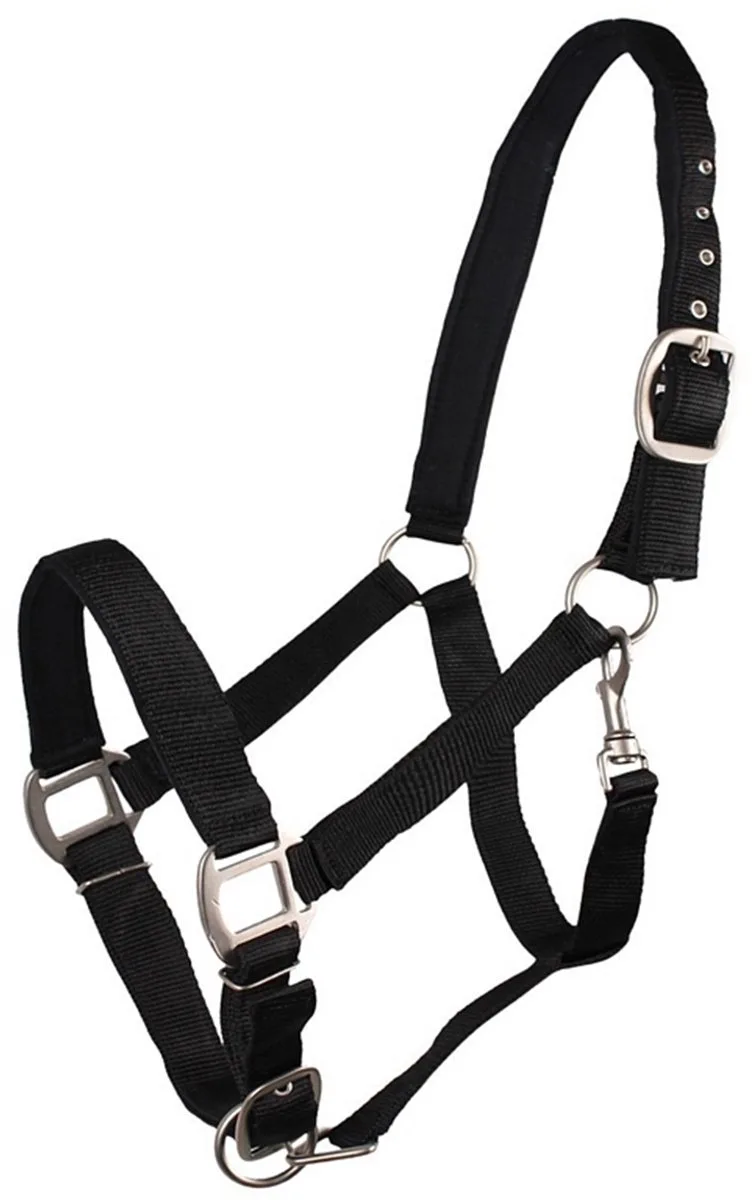 HALSTER GEVOERD von QHP in Schwarz – Produktfoto