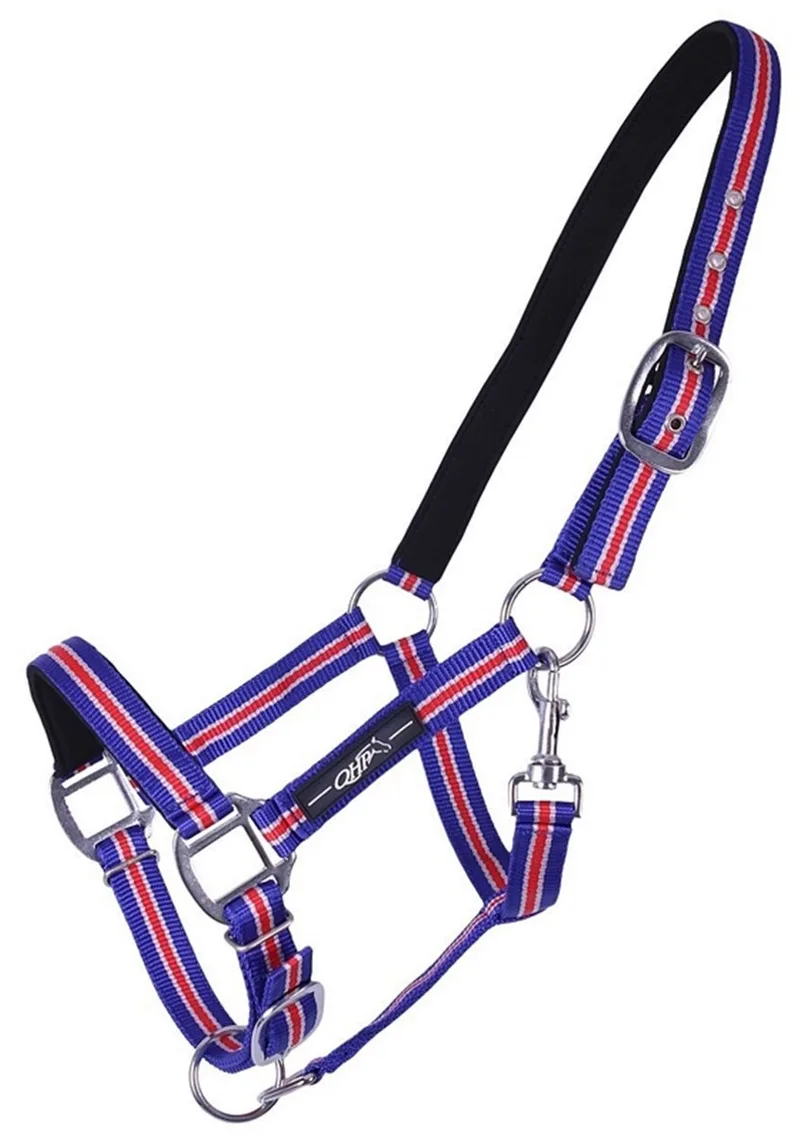 HALSTER ICELANDIC by QHP in Blue – product photo