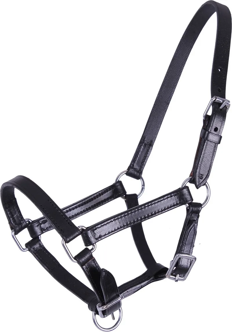 Halster leer chico Zwart 01 by QHP in Black – product photo