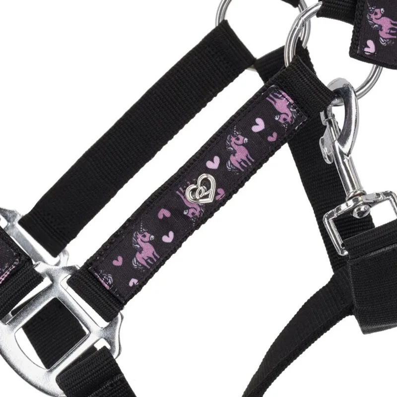Halster Lize Zwart/Violet - Pony de QHP en Noir – photo produit