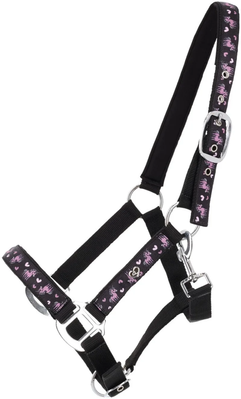 Halster Lize Zwart/Violet - Shetlander von QHP in Schwarz – Produktfoto