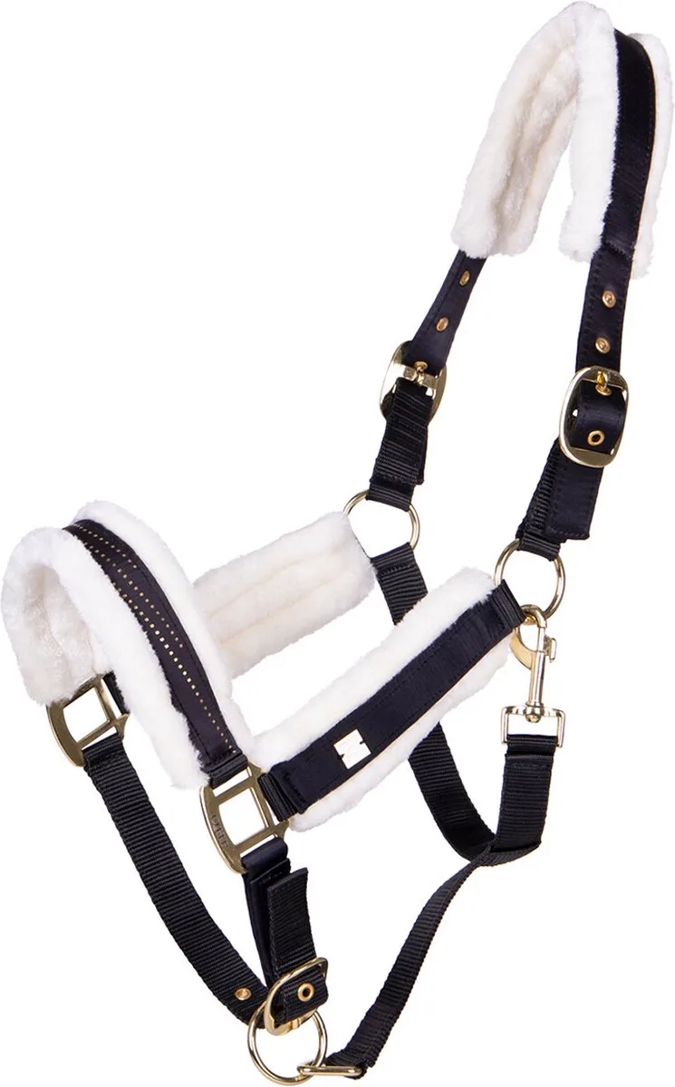 Halster Menton - Cob van QHP in Zwart – productfoto