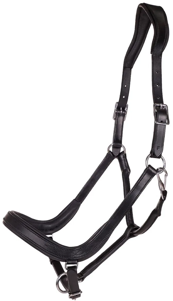 Halster Qhp Salerno Anatomisch fra QHP i Sort – produktbillede