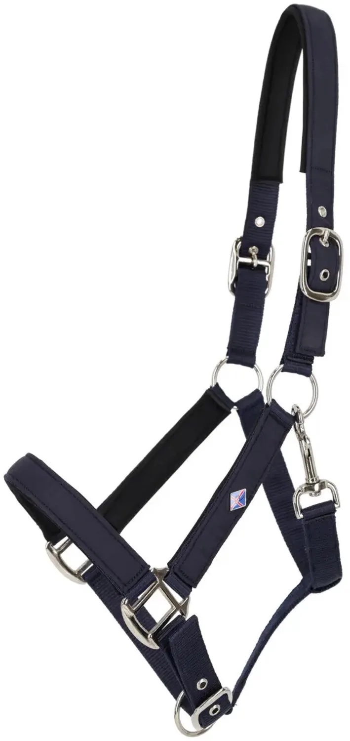 Halster voor paarden QHP by QHP in Marine – product photo