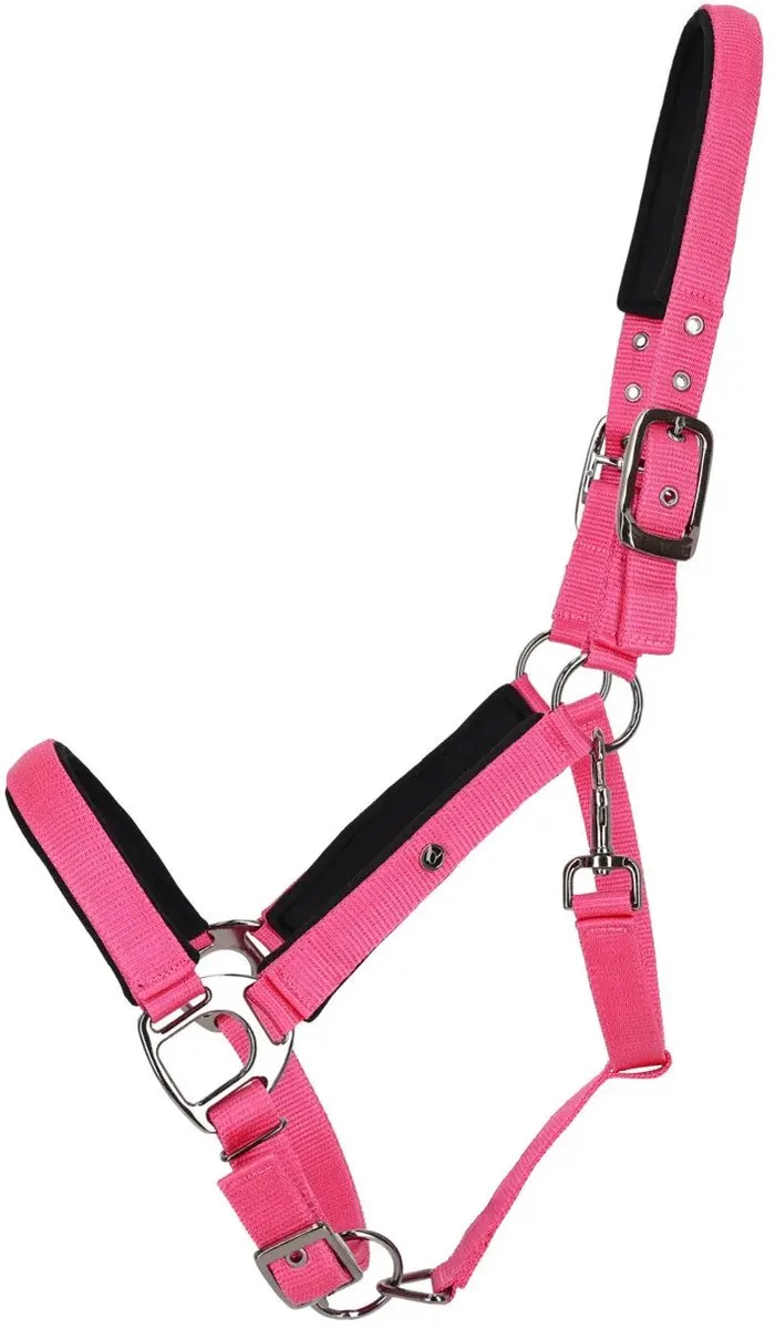 Halster voor paarden QHP von QHP in Rosa – Produktfoto