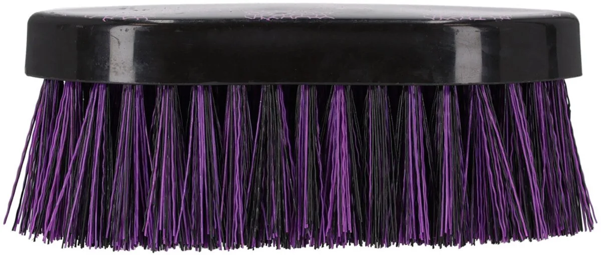 Harde borstel Lize - Zwart / Violet by QHP in Black, Purple – product photo
