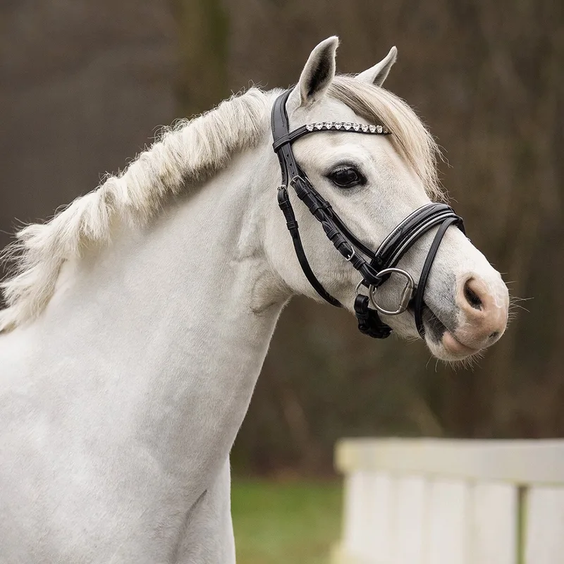 Hoofdstel Bixie Zwart-Zilver - Pony | Hoofdstel paard de QHP en Noir – photo produit