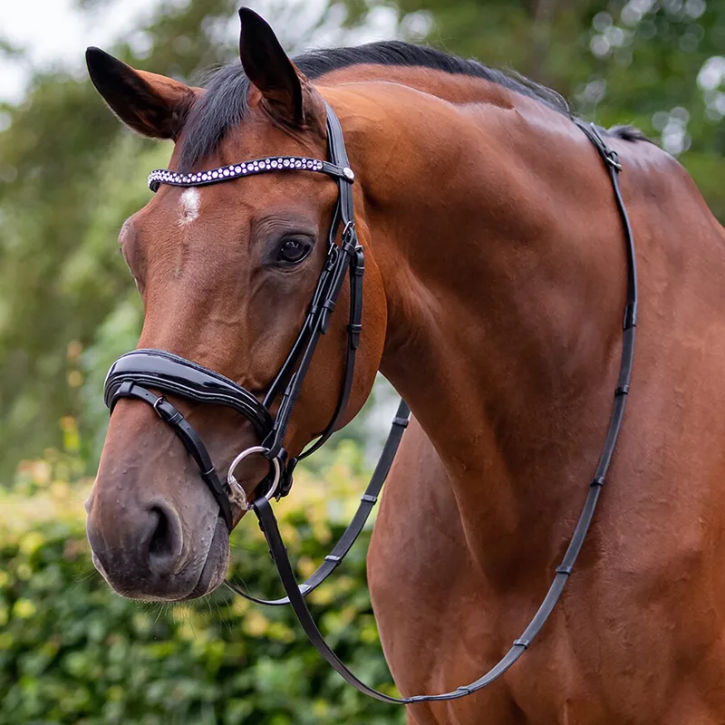 Hoofdstel Orlando - FULL by QHP in Black – product photo