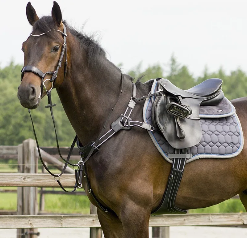 Hoofdstel Qhp Sedna de QHP en Noir – photo produit